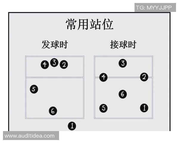 足球与排球的魅力对比:两项运动如何塑造团队精神与个人技能 足球与排球的魅力对比:两项运动如何塑造团队精神与个人技能