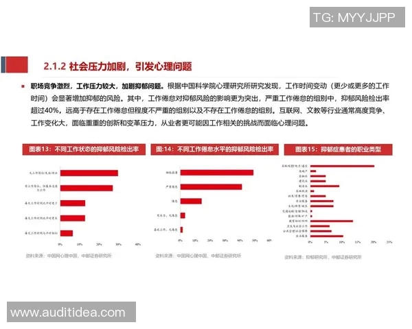 国内足球俱乐部发展现状与未来挑战分析及对策探讨